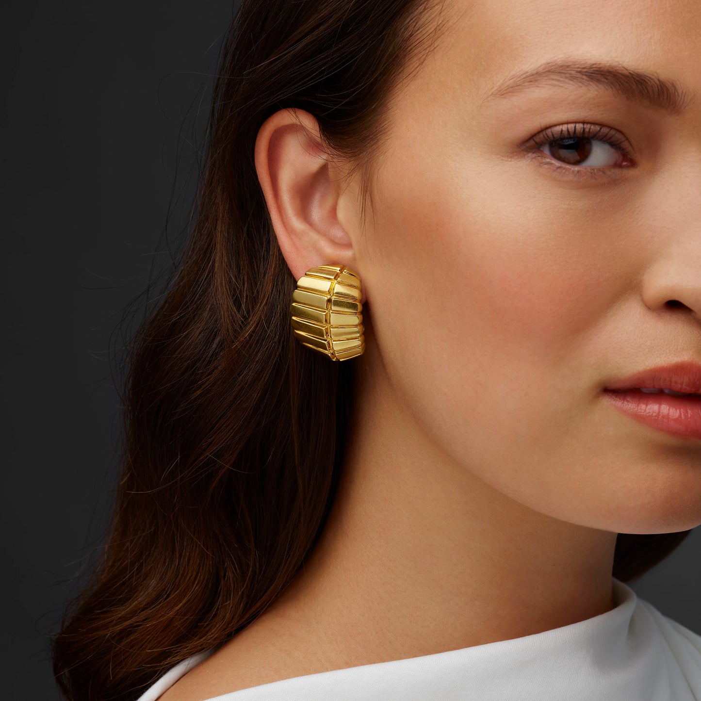 Macklowe Gallery David Webb Half-Hoop Earrings