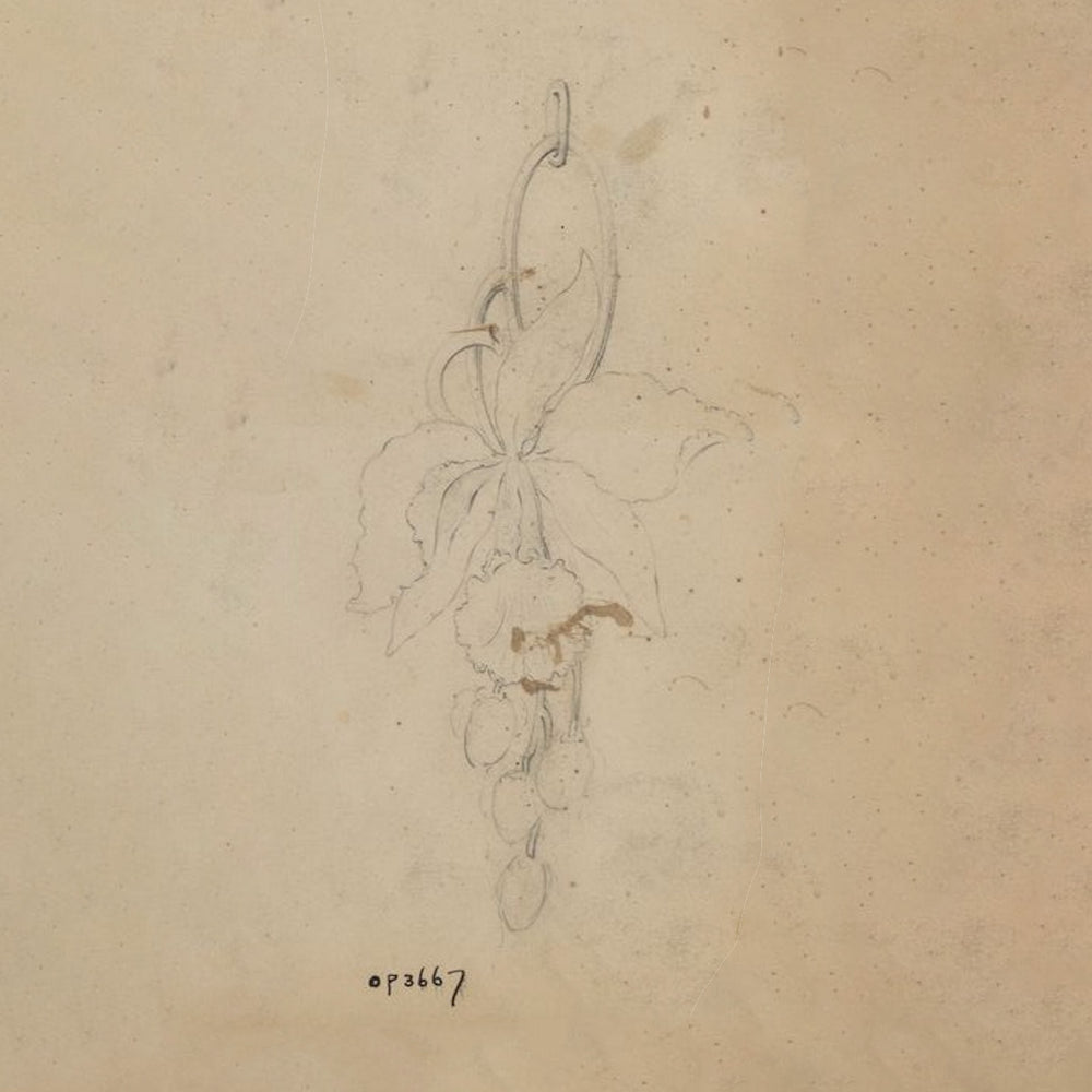 
                      
                        Macklowe Gallery Marcus & Co. Art Nouveau Enamel Orchid Pendant 
                      
                    