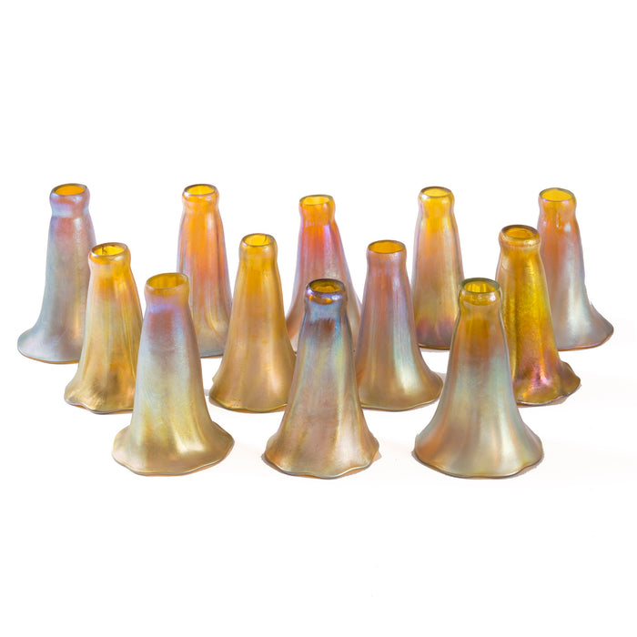 Macklowe Gallery Tiffany Studios New York "Twelve Light Lily" Table Lamp