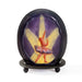 Macklowe Gallery Gabriel Argy-Rouseau Pâte de Verre "Etoile" Night Light