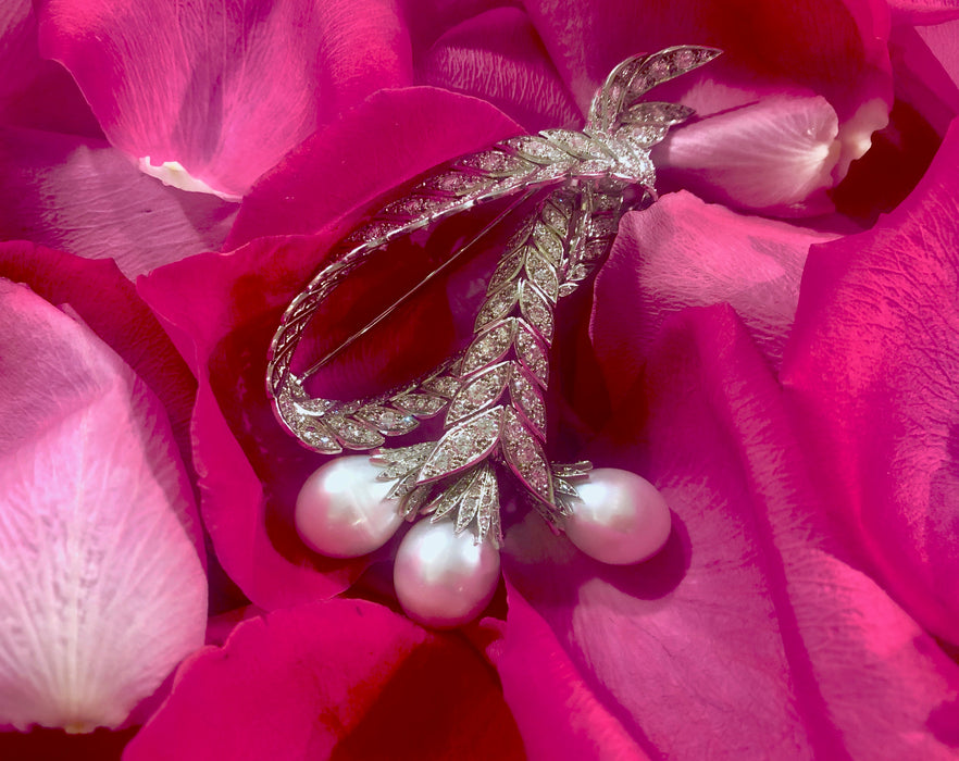 Macklowe Gallery Pierre Sterlé Diamond and South Sea Pearl Brooch