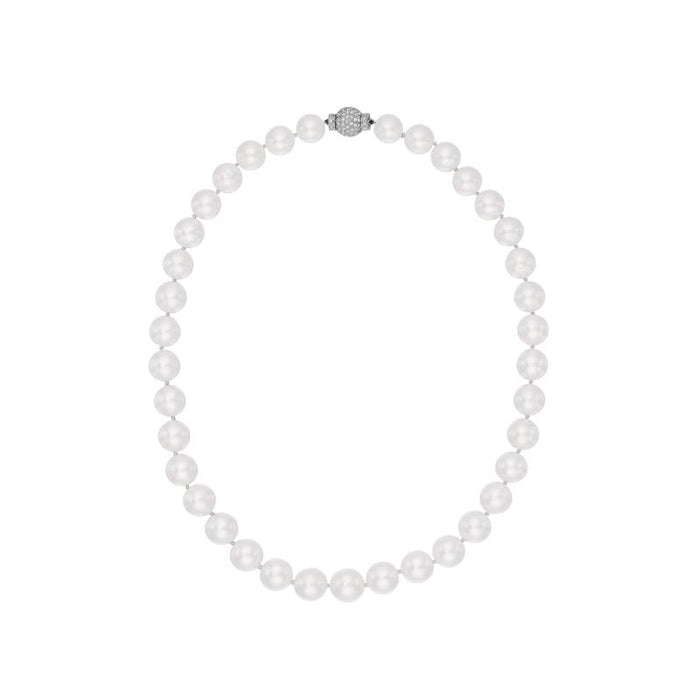 Sea lily on sale jewelry company