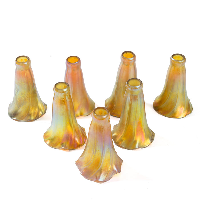 Macklowe Gallery Tiffany Studios New York "Seven Light Lily" Table Lamp 