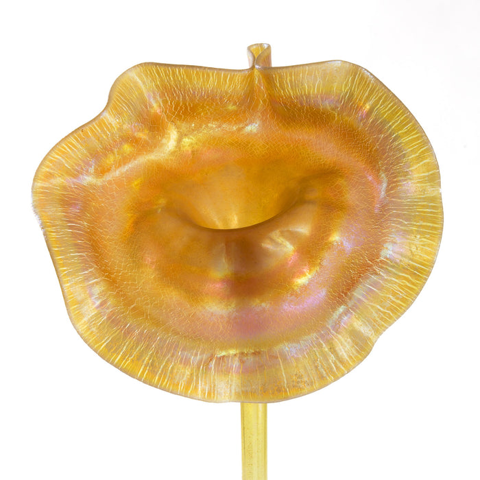 Macklowe Gallery Tiffany Studios New York "Jack in the Pulpit" Favrile Glass Vase